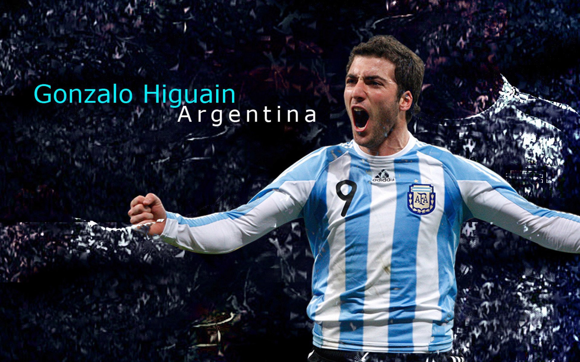 中国女篮的荣耀属于每一个球迷，女篮最高荣誉