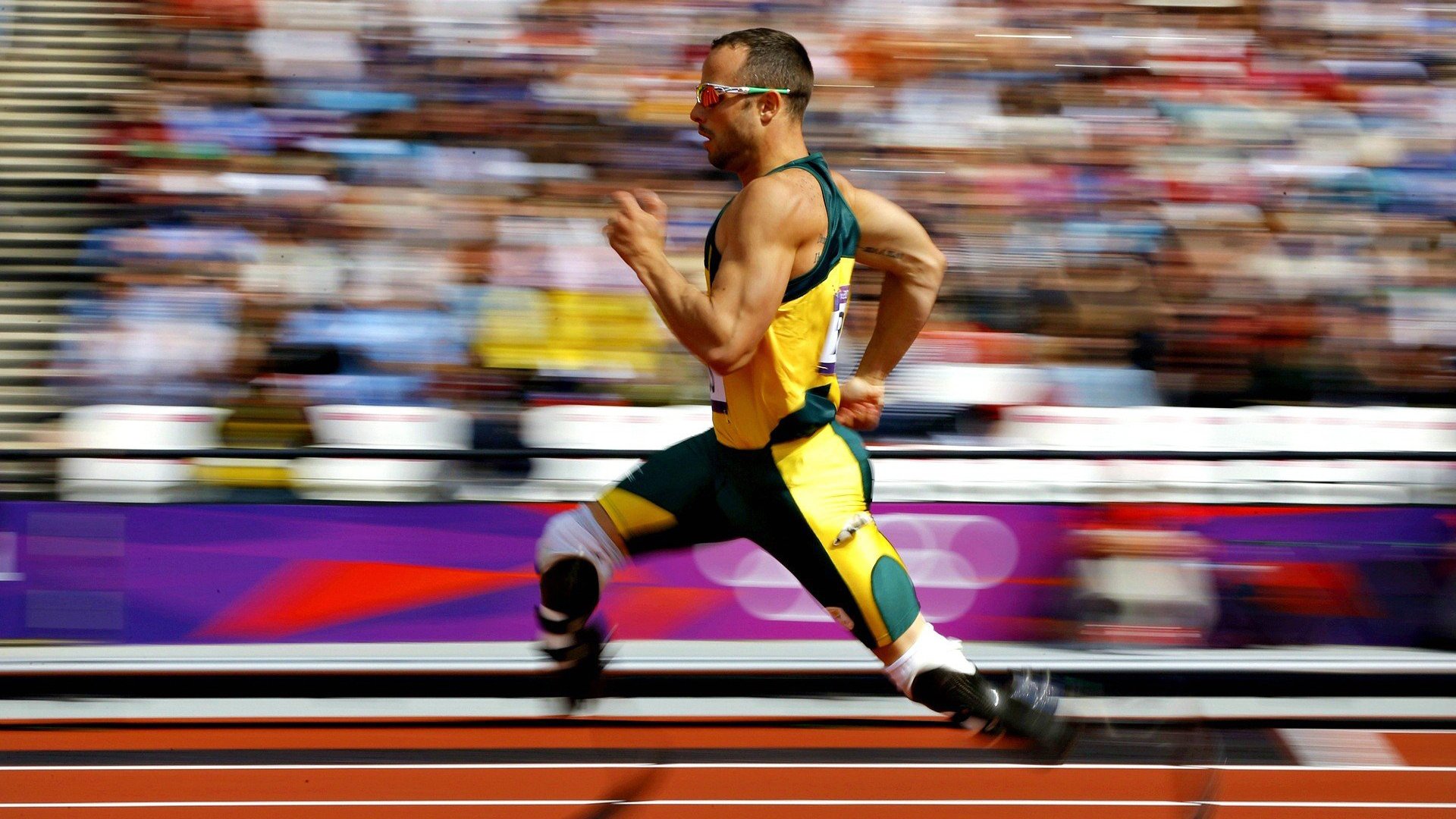 开云下载-Palmer决赛冷静表现彰显大赛经验